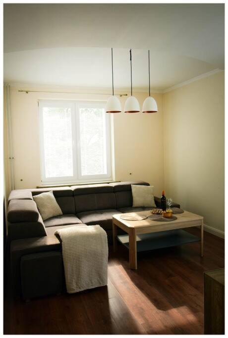 Color 24 Apartament VII Stalowa Wola Luaran gambar